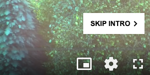 Skip Intro Button