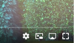 AirPlay
